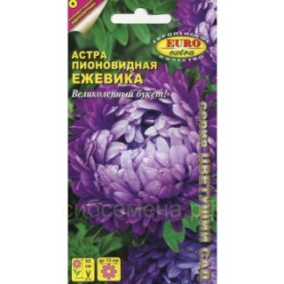 Астра ЕЖЕВИКА пионовидная (Аэлита)