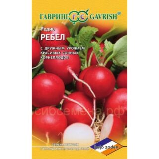 Редис Ребел (Гавриш)