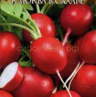 Редис КЛЮКВА В САХАРЕ /Гавриш/