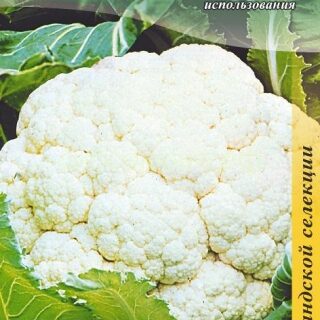 Капуста цветная ГУДМАН 10 сем./цв./
