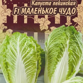 Капуста пекинская МАЛЕНЬКОЕ ЧУДО(ленивый огород) /Гавриш/