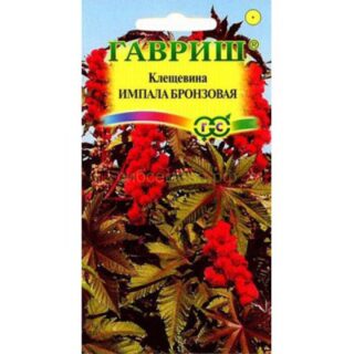 Клещевина ИМПАЛА бронзовая /Гавриш/