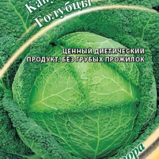 Капуста савойская ГОЛУБЦЫ /Гавриш/
