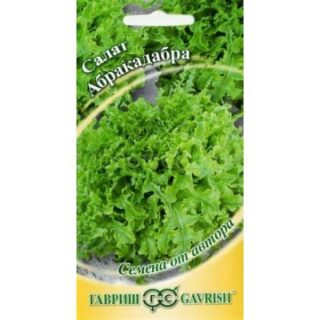 Салат АБРАКАДАБРА маслянистый /Гавриш/