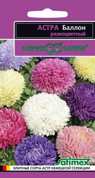 Астра БАЛЛОН, разноцветный, густомахровый /Гавриш/