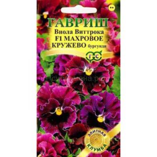 Виола МАХРОВОЕ КРУЖЕВО бургунди /Гавриш/