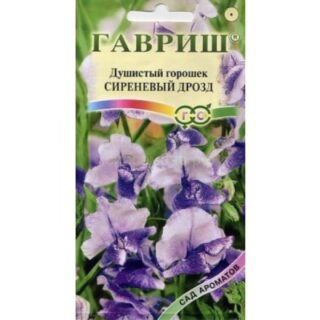 Душистый горошек СИРЕНЕВЫЙ ДРОЗД /Гавриш/
