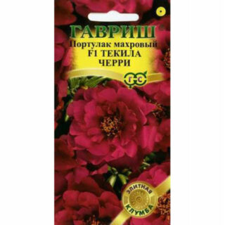 Портулак ТЕКИЛА ЧЕРРИF1 махровый /Гавриш/
