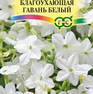 Табак БЛАГОУХАЮЩАЯ ГАВАНЬ белая /Гавриш/