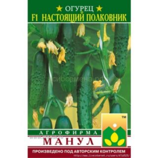 Огурец НАСТОЯЩИЙ ПОЛКОВНИК F1 /Манул/