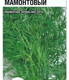 Укроп Мамонтовый 1гр /СибСад/