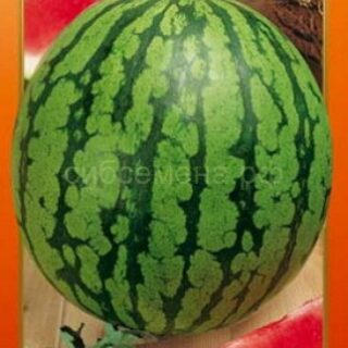 Арбуз ПОДАРОК СЕВЕРУ F1/НК/