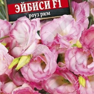 Эустома Эйбиси F1 роуз рим крупноцветковая махровая (Аэлита)
