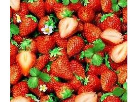 Клеёнка столовая ПВХ 1,4х20м АМАРАНТ/модерно/ФЛОРИСТА