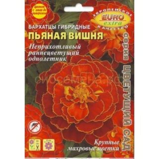 Бархатцы Пьяная вишня гибридные (Аэлита)