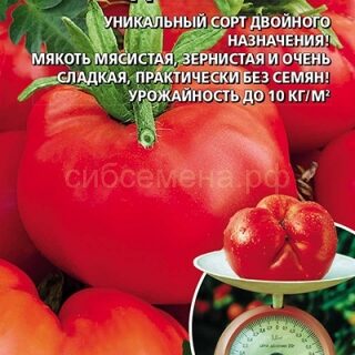 Томат Подполковник (УД)