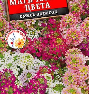 Алиссум Магические цвета смесь /Аэлита/
