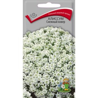 Алиссум СНЕЖНЫЙ КОВЕР /Поиск/