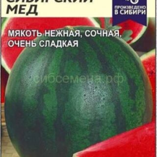 Арбуз СИБИРСКИЙ МЁД /Алтай/