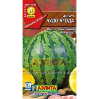 Арбуз ЧУДО ЯГОДА /Аэлита/