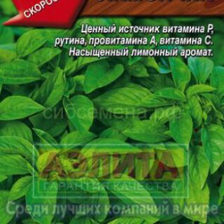 Базилик ЛИМОНЧИК /Аэлита/