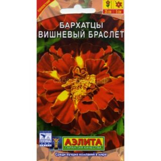 Бархатцы ВИШНЕВЫЙ БРАСЛЕТ /Аэлита/