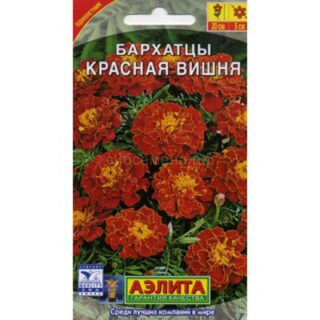 Бархатцы КРАСНАЯ ВИШНЯ /Аэлита/