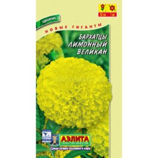 Бархатцы ЛИМОННЫЙ ВЕЛИКАН /Аэлита/