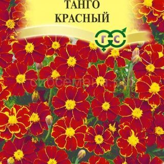 Бархатцы Танго красный отклон. (Гавр)