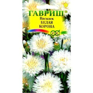 Василек БЕЛАЯ КОРОНА /Гавриш/