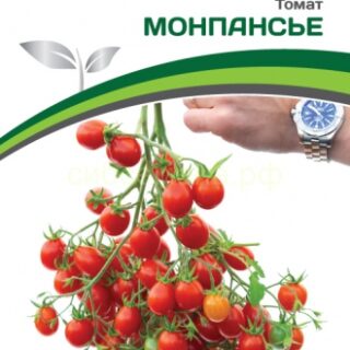 Томат Монпансье (Партнер)