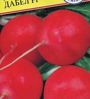 Редис ДАБЕЛ F1 голландия /Престиж/