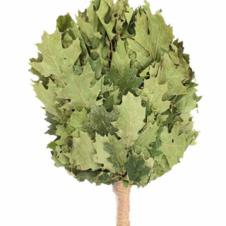 Веник дубовый в уп 03542