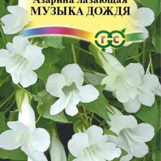 Азарина Музыка дождя (Гавр)