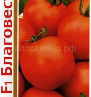 Томат 1+1/24шт Благовест F1 (Гавр)