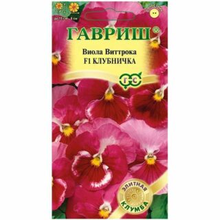 Виола Виттрока КЛУБНИЧКА /Гавриш/