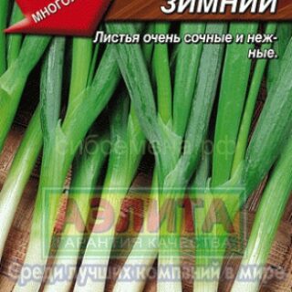 Лук батун Русский Зимний /Аэлита/1г