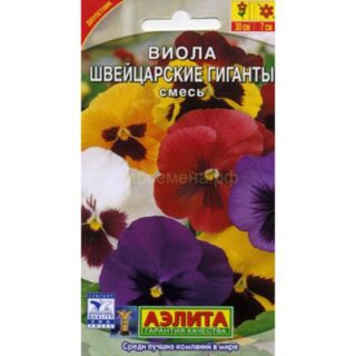 Виола Швейцарские гиганты /Аэлита/