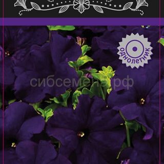 Петуния АЛАДДИН синяя, грандифлора/П/