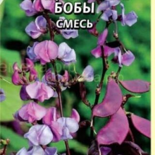 Бобы ГИАЦИНТОВЫЕ смесь 1гр /цв./