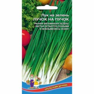 Лук на зелень  ЛУЧОК НА ПУЧОК /УД/