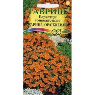 Бархатцы Карина тонколист. (Гавриш)