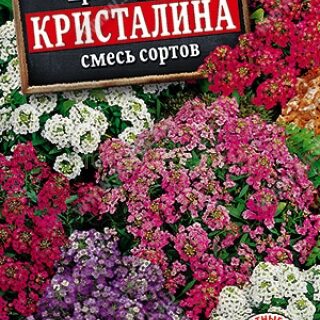 Алиссум КРИСТАЛИНА смесь /Аэлита/