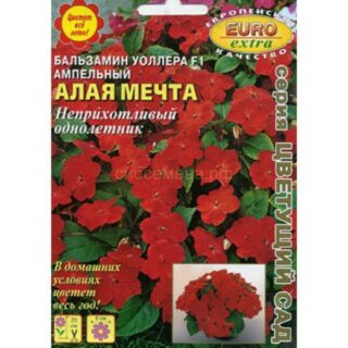 Бальзамин АЛАЯ МЕЧТАF1 ампельный/Аэлита/
