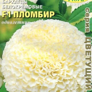 Бархатцы ПЛОМБИР F1/Аэлита/