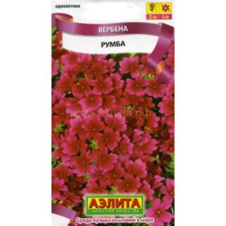 Вербена РУМБА /Аэлита/