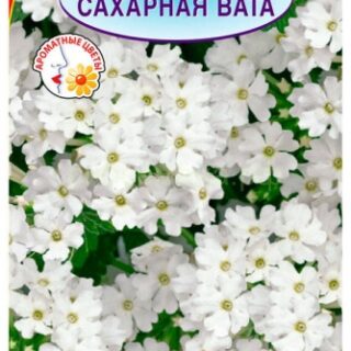 Вербена САХАРНАЯ ВАТА/Аэлита/