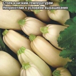 Кабачок СЕВЕРНЫЙ ВАРИАНТ /СибСад/