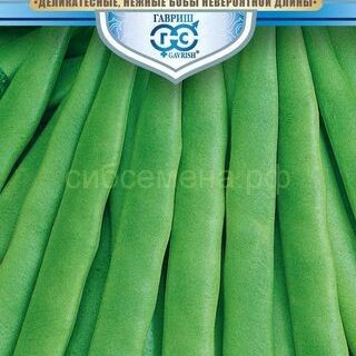 Фасоль ЗЕЛЕНЫЙ ГИГАНТ /Гавриш/ 5гр