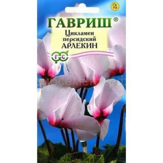Цикламен Арлекин /Гавриш/ 3 шт.